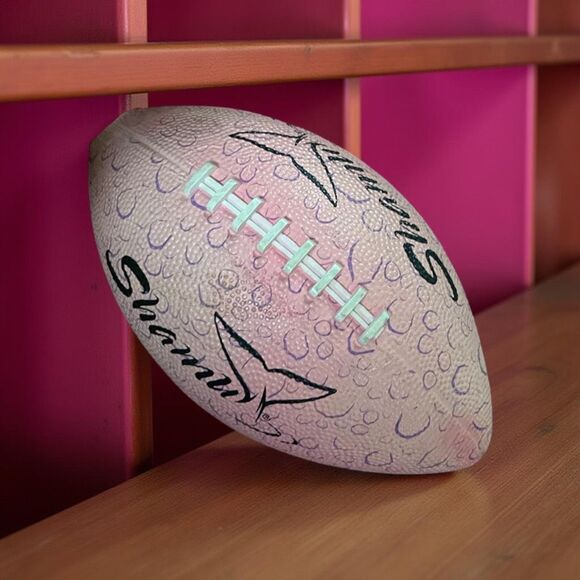 Extremely Rare Vintage Shamu Seaworld Football - Picture 1 of 7